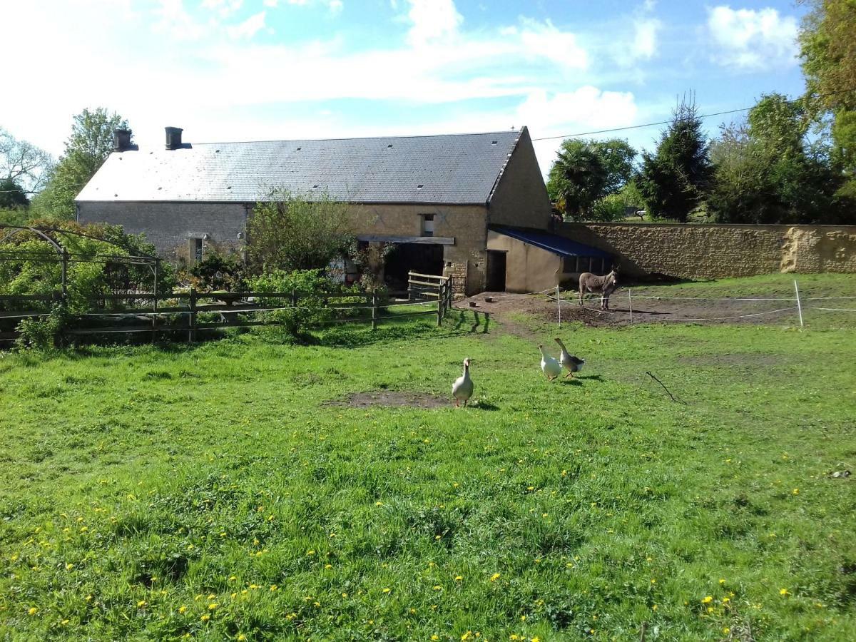 Hébergement de vacances Du Jardin Des Sources Vaux-sur-Seulles